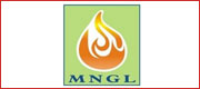 City Gas Distribution